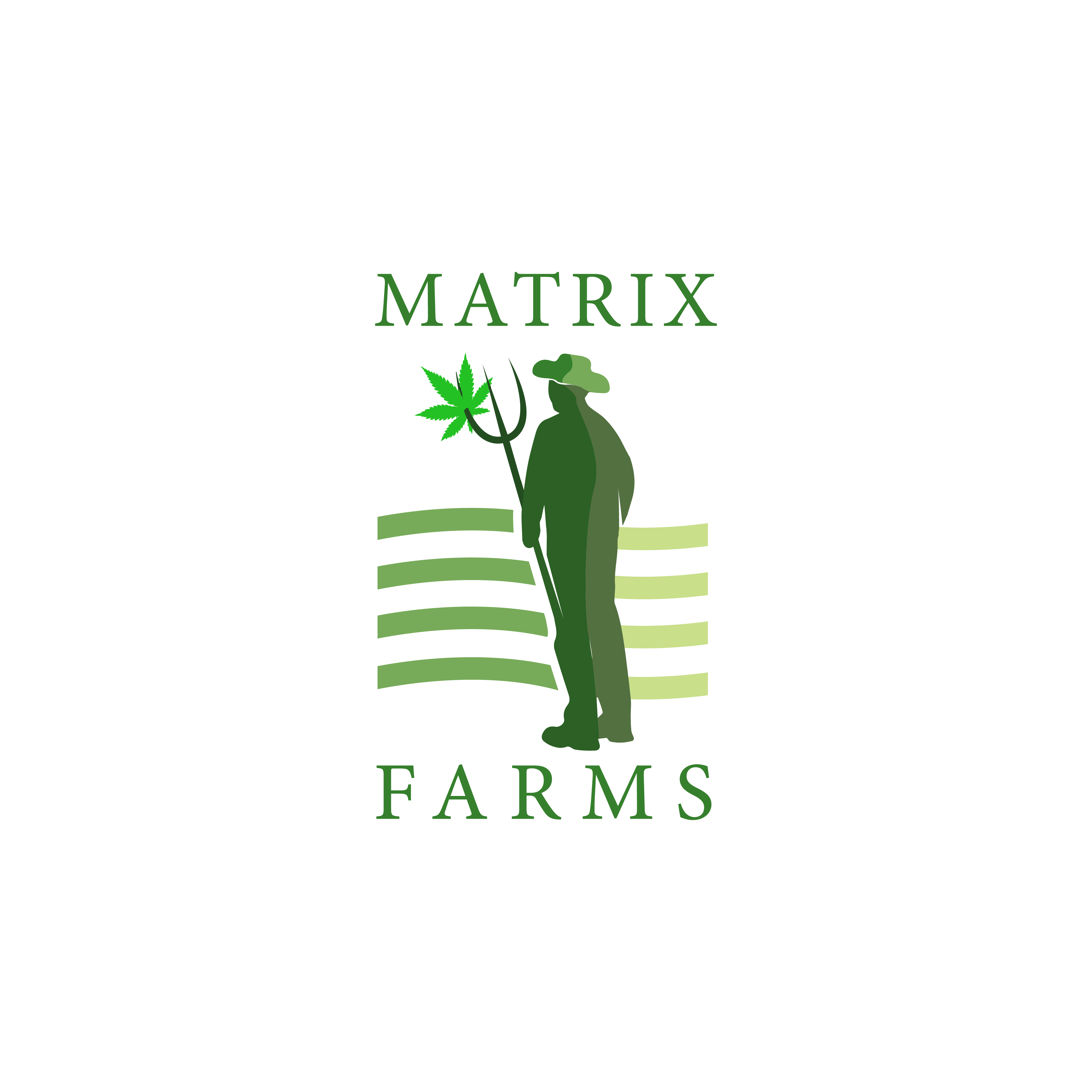 Matrix